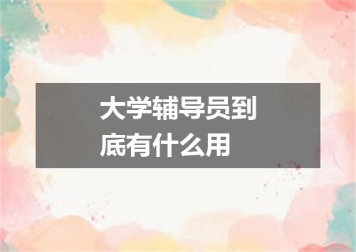 大学辅导员到底有什么用