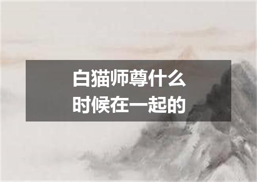 白猫师尊什么时候在一起的