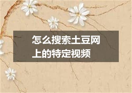 怎么搜索土豆网上的特定视频
