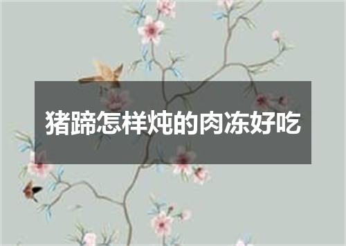 猪蹄怎样炖的肉冻好吃