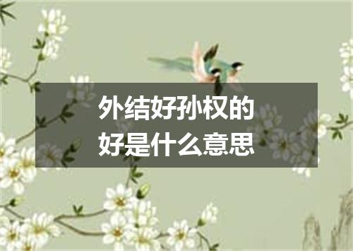 外结好孙权的好是什么意思