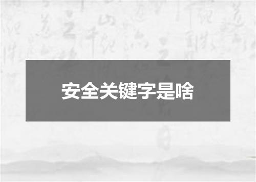 安全关键字是啥