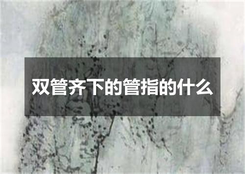 双管齐下的管指的什么