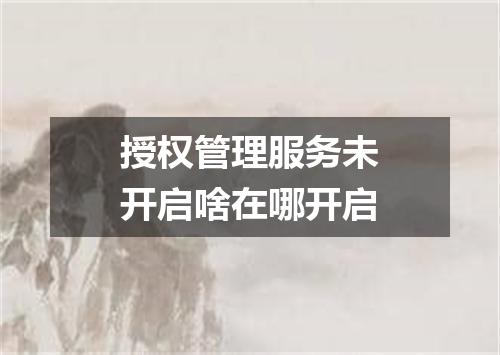 授权管理服务未开启啥在哪开启