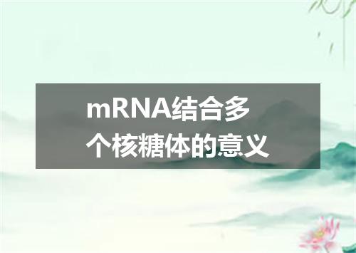 mRNA结合多个核糖体的意义