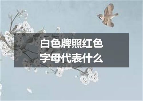 白色牌照红色字母代表什么