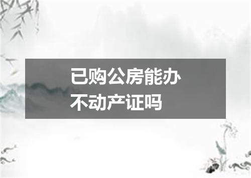已购公房能办不动产证吗
