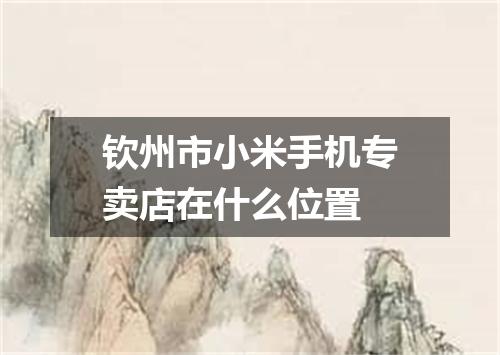 钦州市小米手机专卖店在什么位置