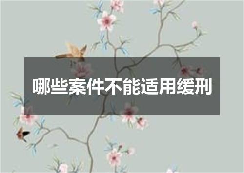 哪些案件不能适用缓刑