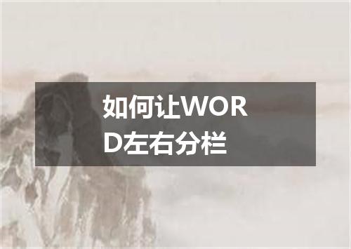 如何让WORD左右分栏