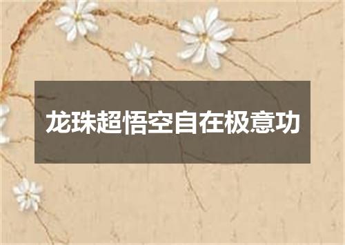 龙珠超悟空自在极意功