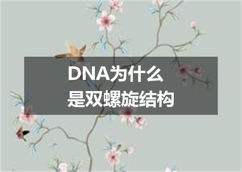 DNA为什么是双螺旋结构