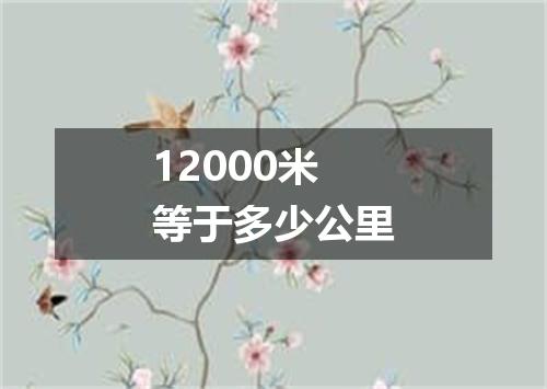12000米等于多少公里