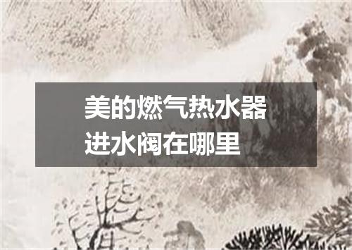 美的燃气热水器进水阀在哪里