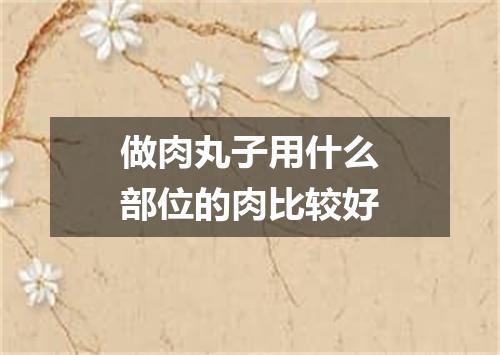 做肉丸子用什么部位的肉比较好