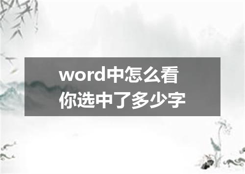 word中怎么看你选中了多少字