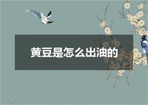 黄豆是怎么出油的