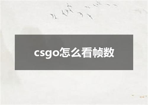 csgo怎么看帧数