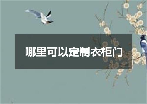 哪里可以定制衣柜门