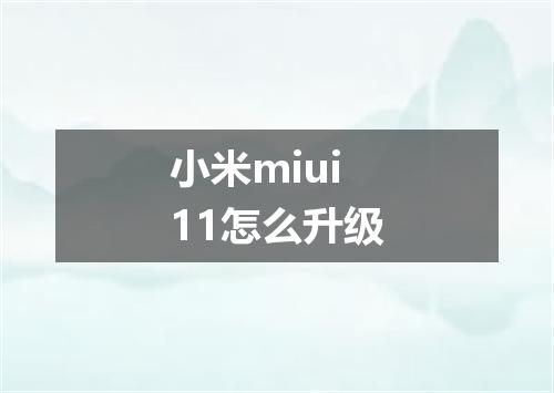 小米miui11怎么升级