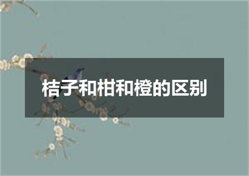 桔子和柑和橙的区别