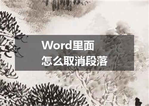 Word里面怎么取消段落