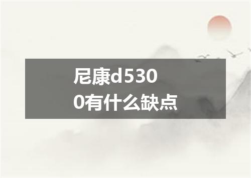 尼康d5300有什么缺点