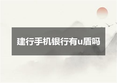 建行手机银行有u盾吗