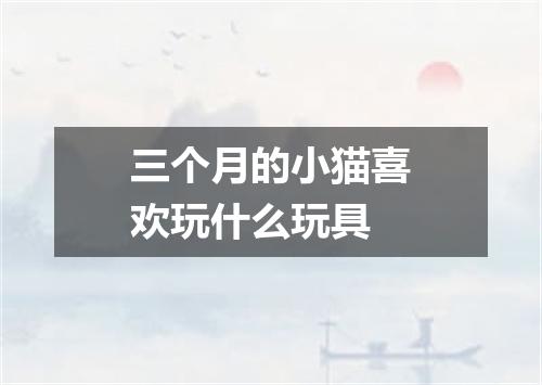三个月的小猫喜欢玩什么玩具