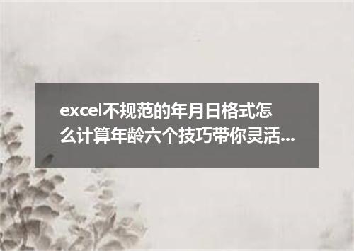 excel不规范的年月日格式怎么计算年龄六个技巧带你灵活运用excel