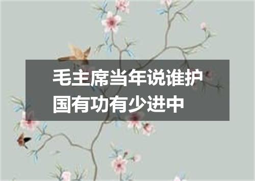 毛主席当年说谁护国有功有少进中