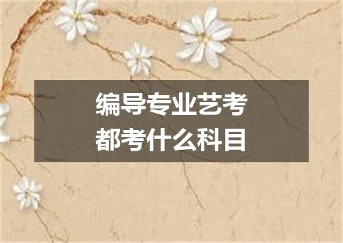 编导专业艺考都考什么科目