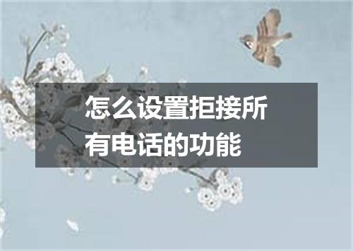 怎么设置拒接所有电话的功能