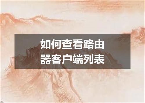如何查看路由器客户端列表