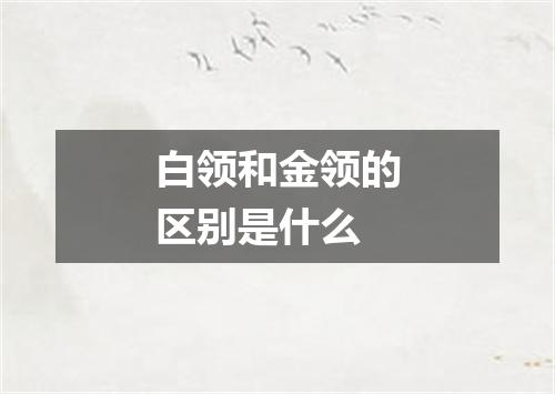 白领和金领的区别是什么