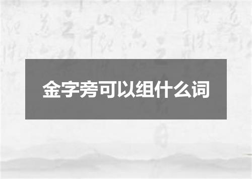 金字旁可以组什么词