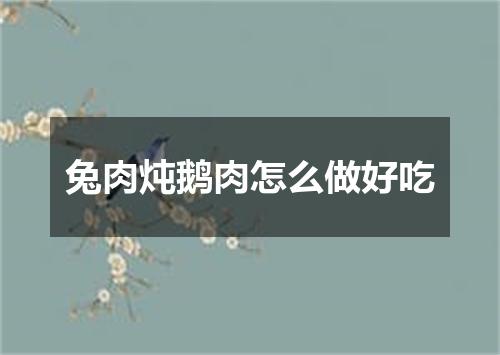 兔肉炖鹅肉怎么做好吃