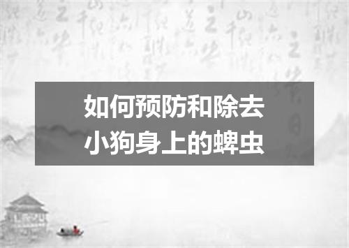 如何预防和除去小狗身上的蜱虫