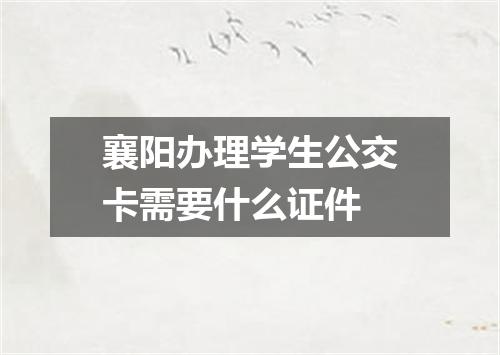 襄阳办理学生公交卡需要什么证件