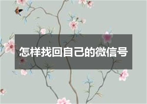 怎样找回自己的微信号