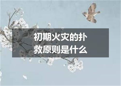 初期火灾的扑救原则是什么