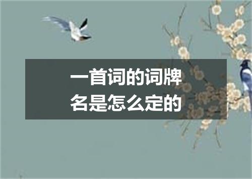 一首词的词牌名是怎么定的