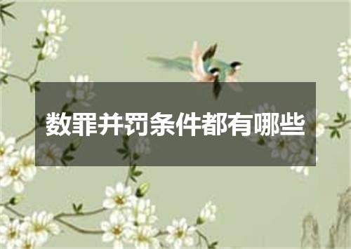 数罪并罚条件都有哪些