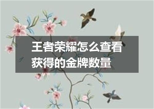王者荣耀怎么查看获得的金牌数量