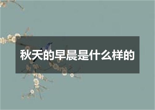 秋天的早晨是什么样的