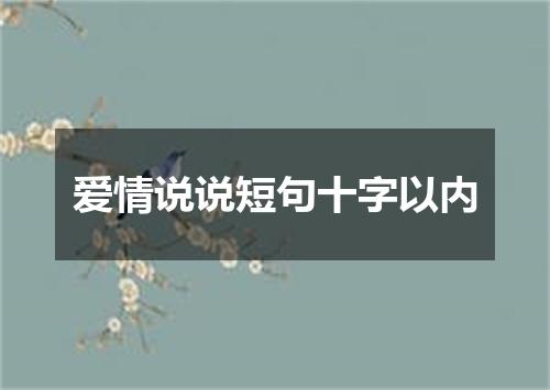 爱情说说短句十字以内