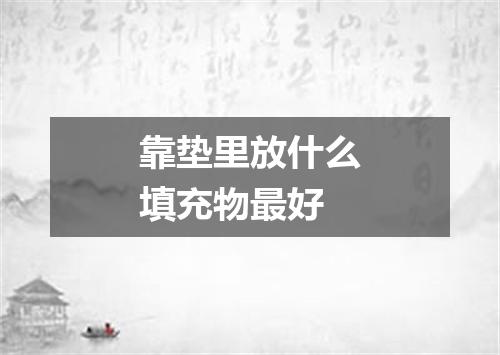 靠垫里放什么填充物最好