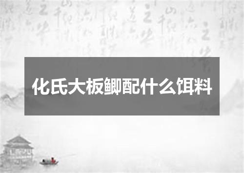化氏大板鲫配什么饵料