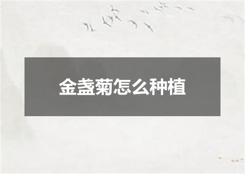 金盏菊怎么种植