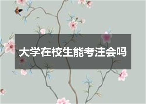 大学在校生能考注会吗